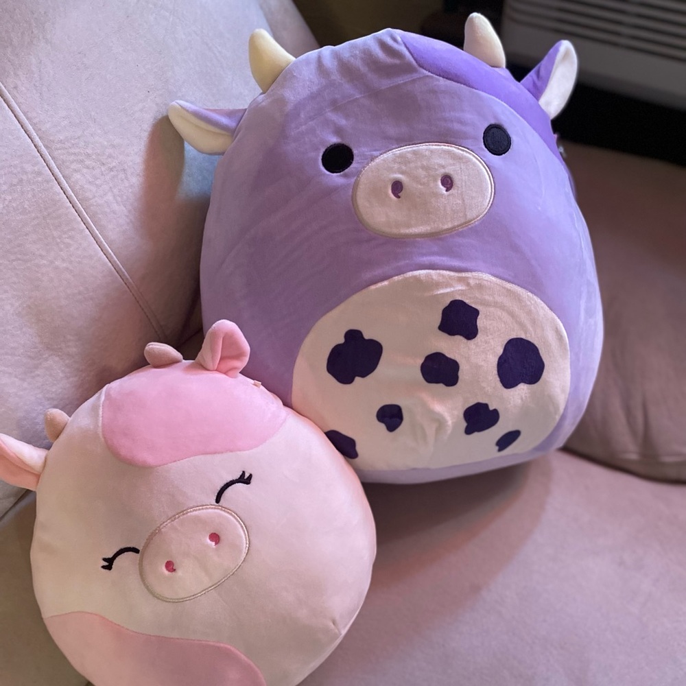 Caedyn and bubba squishmallows